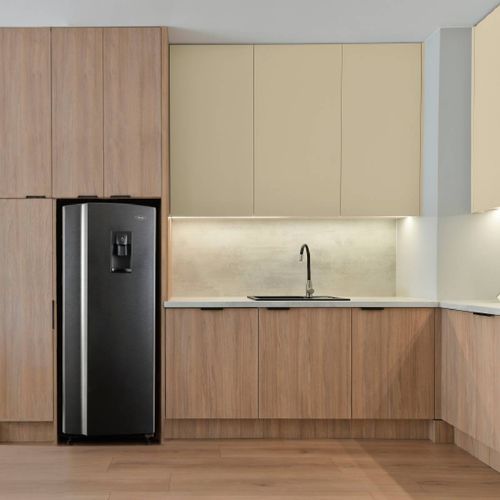 Nevera Haceb Frost 250 Litros Manija Integrada Titanio